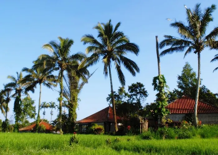 Sanda Butik Ferienpark BALI